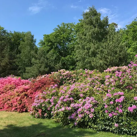 Familie Goertler Daire Graal-Mueritz