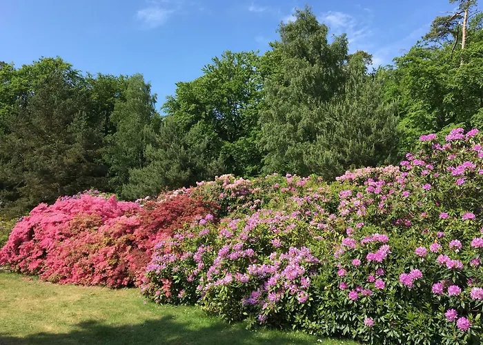 Familie Goertler Apartamento Graal-Mueritz